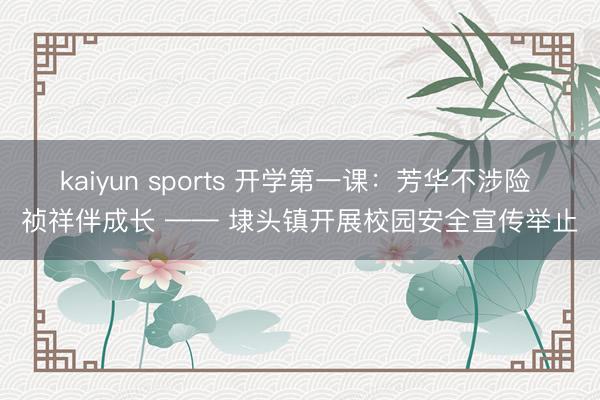 kaiyun sports 开学第一课：芳华不涉险 祯祥伴成长 —— 埭头镇开展校园安全宣传举止